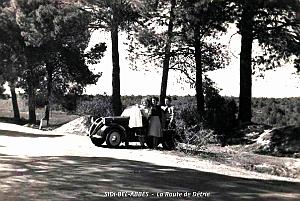 Sidi-Bel-Abbes - Route de Detrie